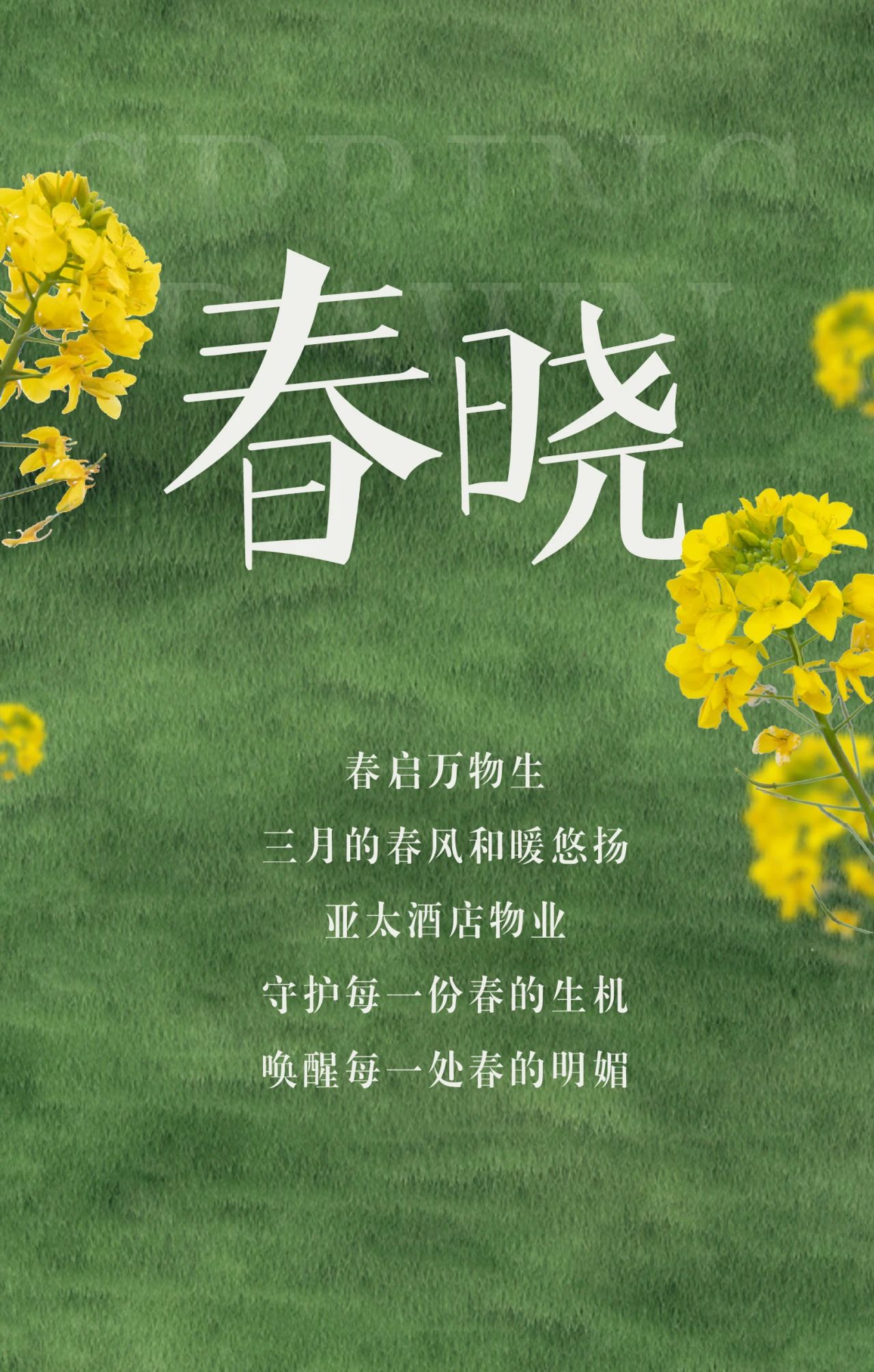 春啟萬物，綻放新生丨亞太酒店物業(yè)